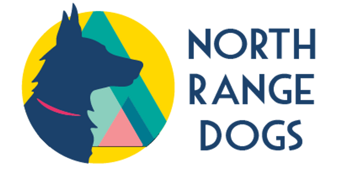 Explore Leash: Biothane Dog Leash - Waterproof, dirt-proof, adventure  ready! – North Range Dogs