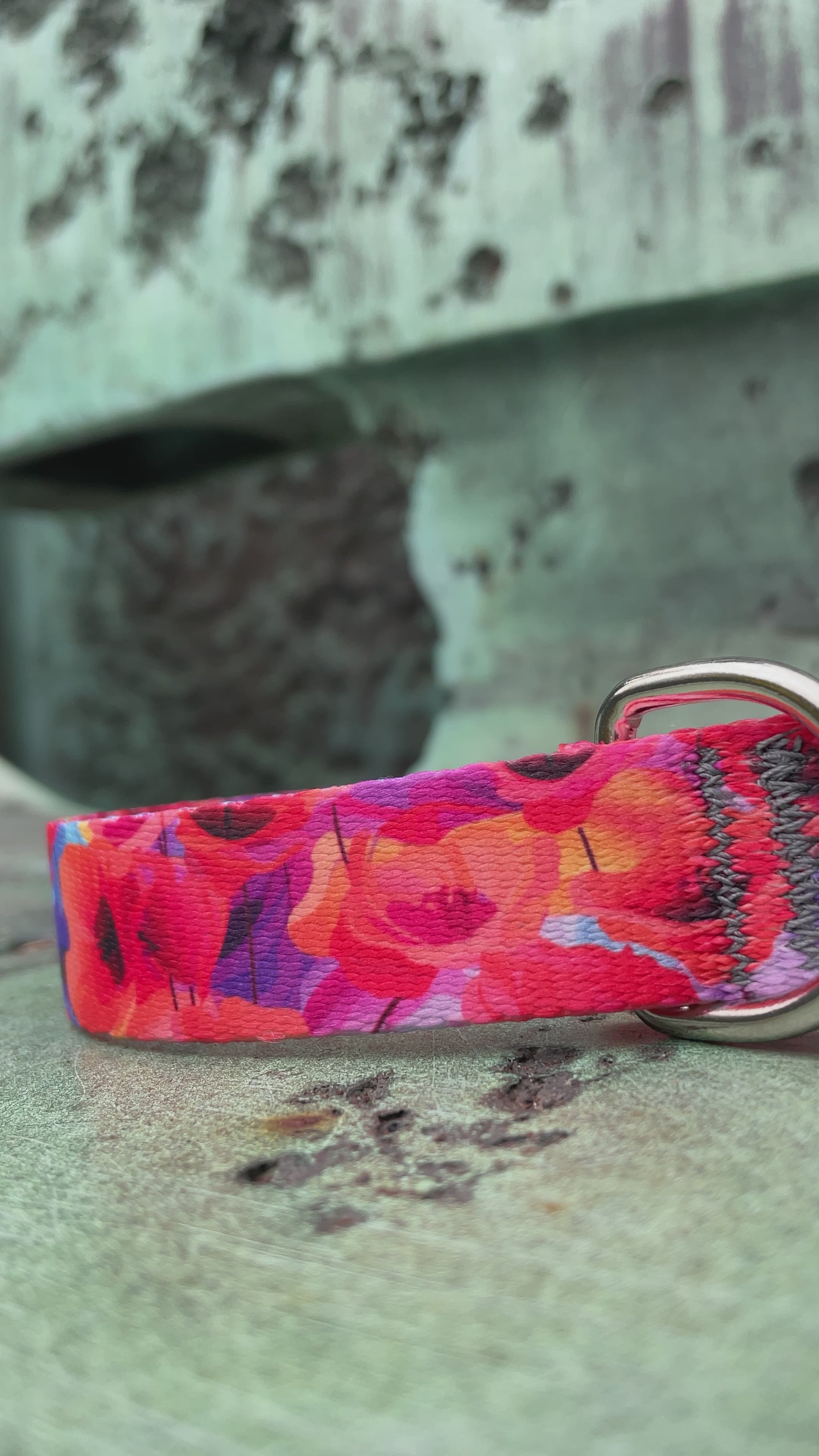 Poppy dog collar