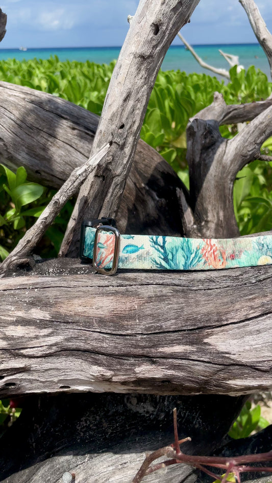 Reef: Ocean Collection