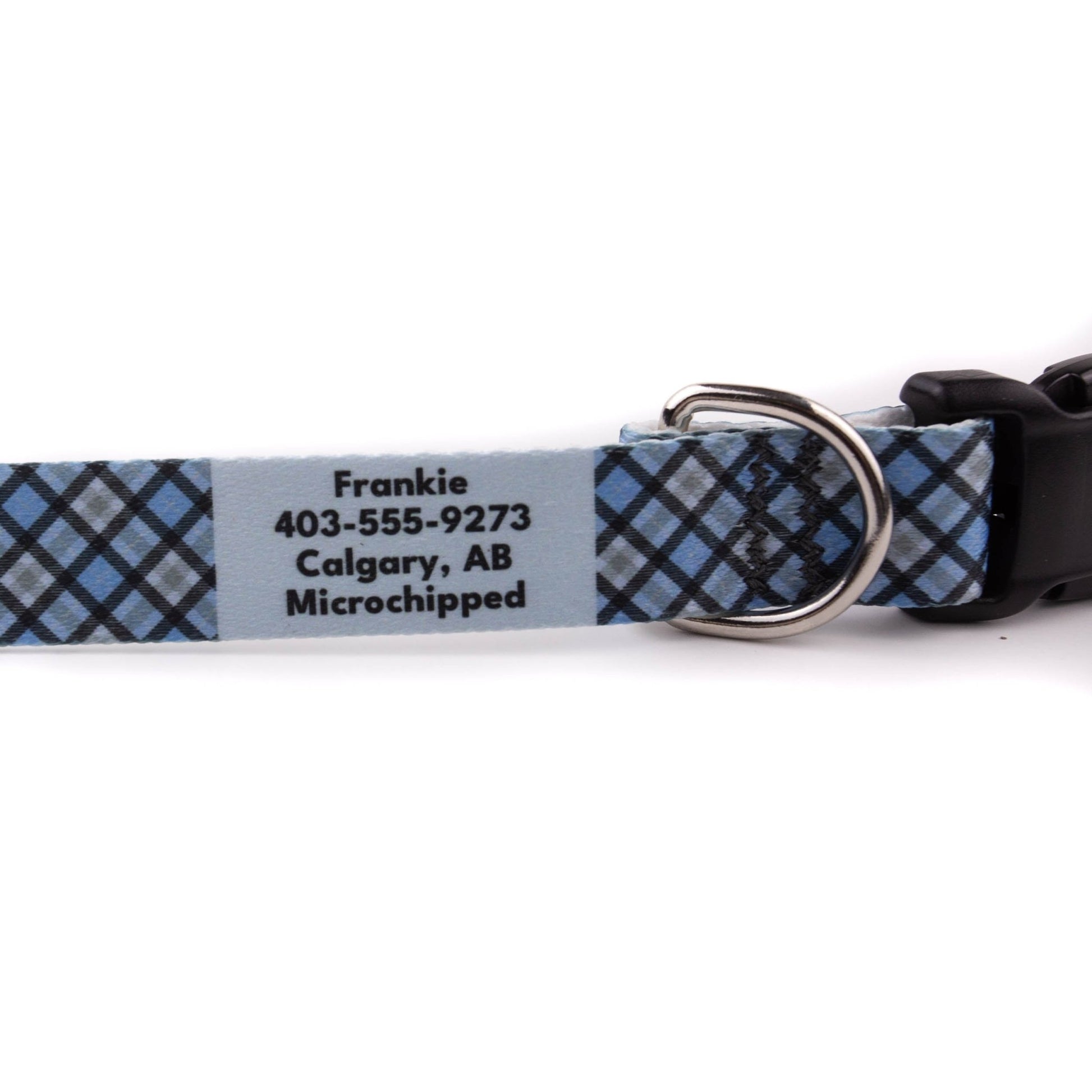 Blue Plaid Dog Collar - North Range Dogs