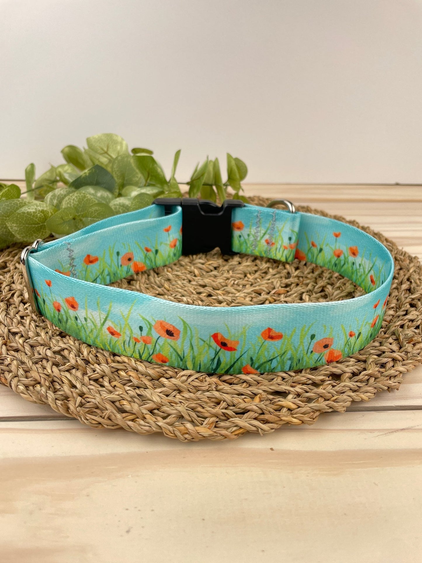 Poppy Fields Dog Collar: Dog Good - North Range Dogs