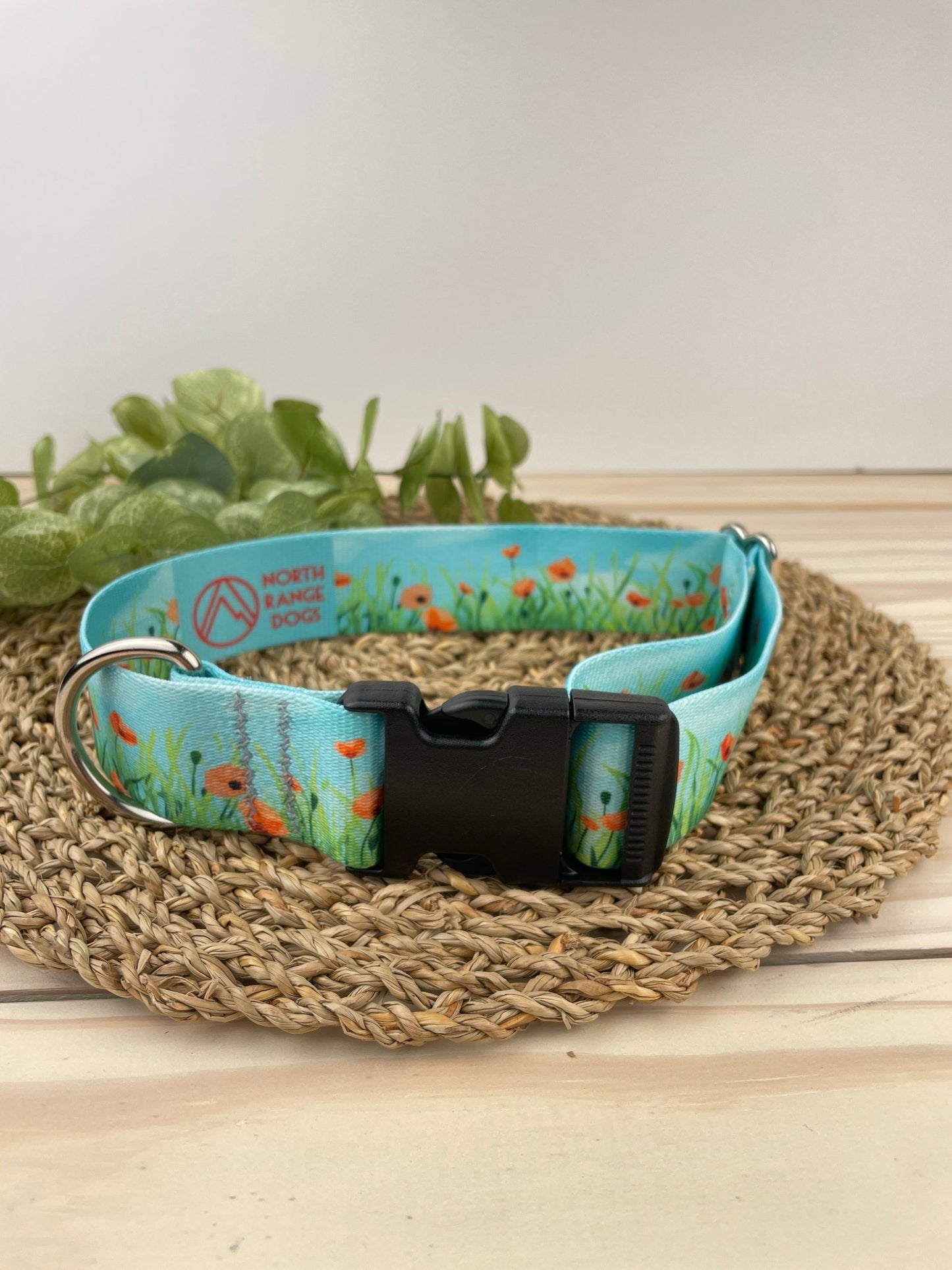 Poppy Fields Dog Collar: Dog Good - North Range Dogs