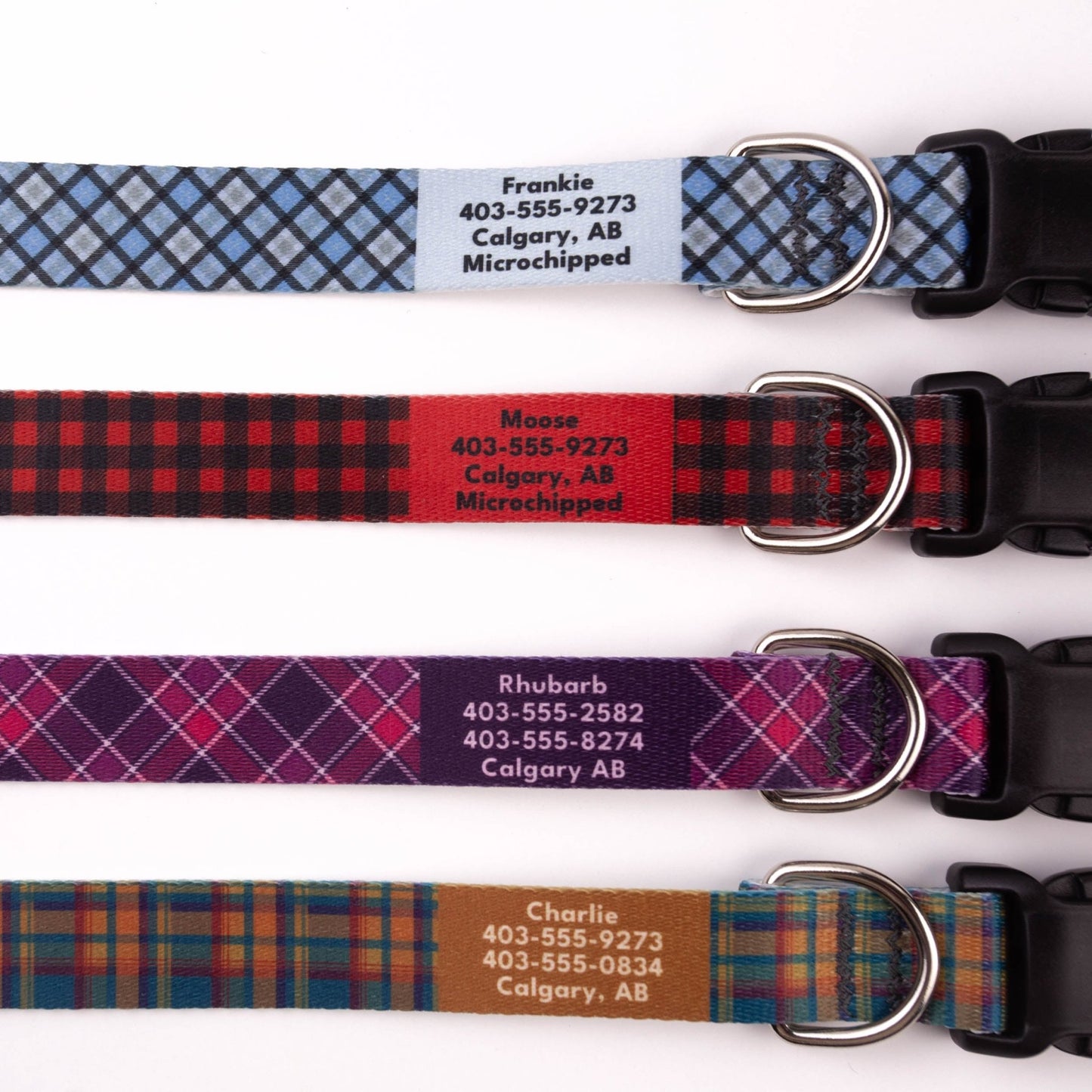Rainbow Plaid Dog Collar - North Range Dogs