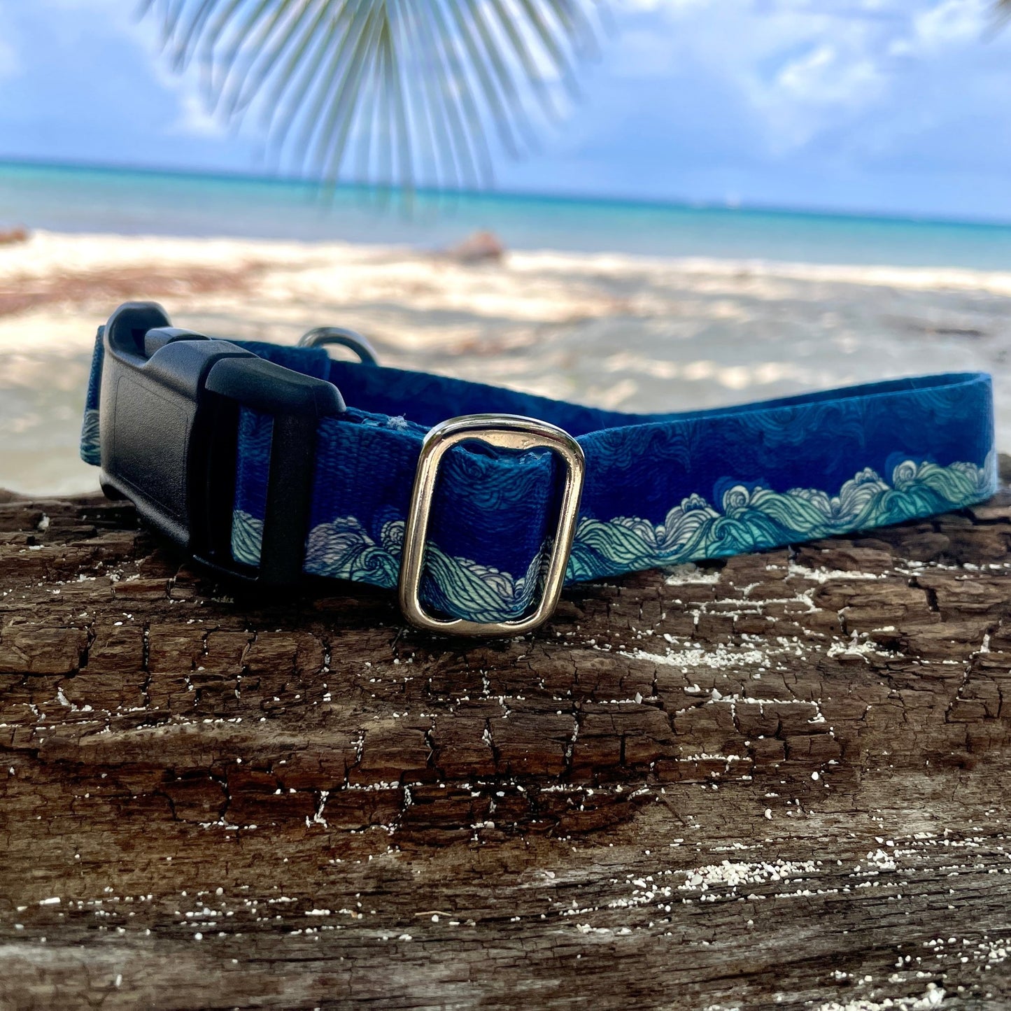 Wave: Ocean Collection - NorthRangeDogs