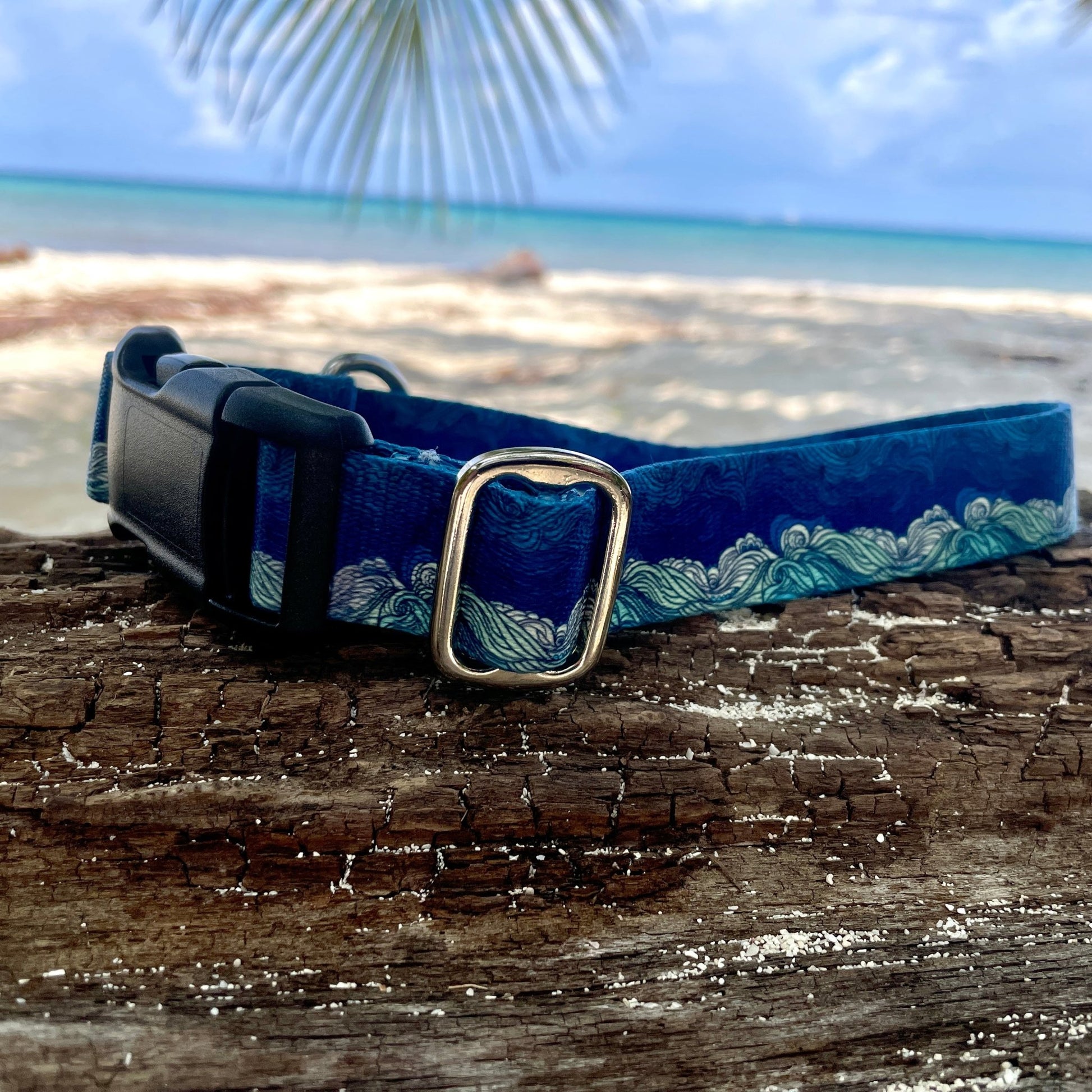 Wave: Ocean Collection - NorthRangeDogs