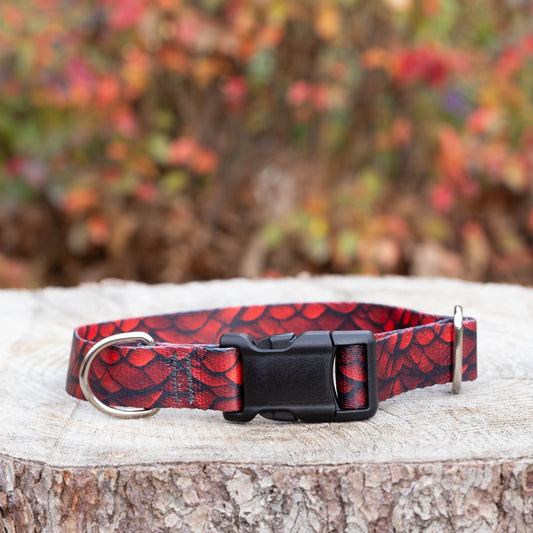 Red Dragon Dog Collar - North Range Dogs