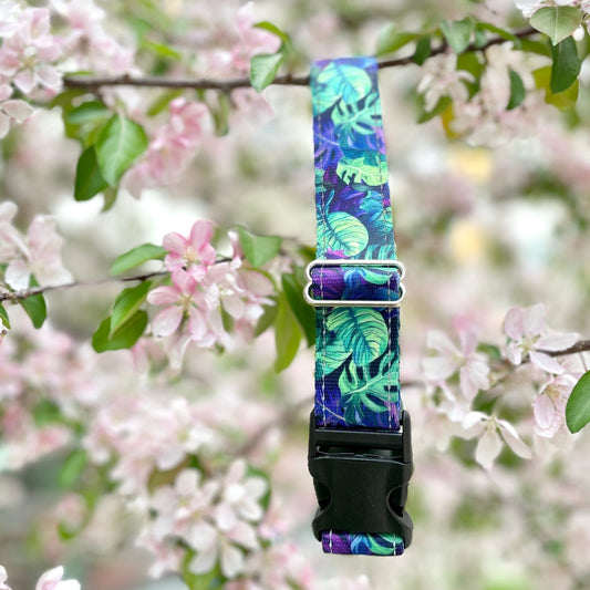 Monstera: Floral Collection - NorthRangeDogs