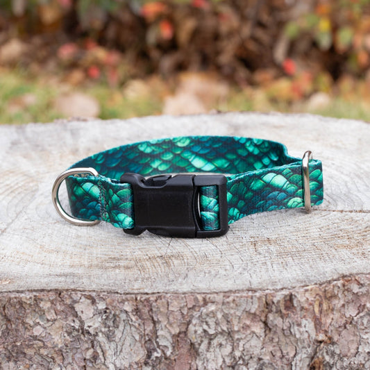 Green Dragon Dog Collar - North Range Dogs