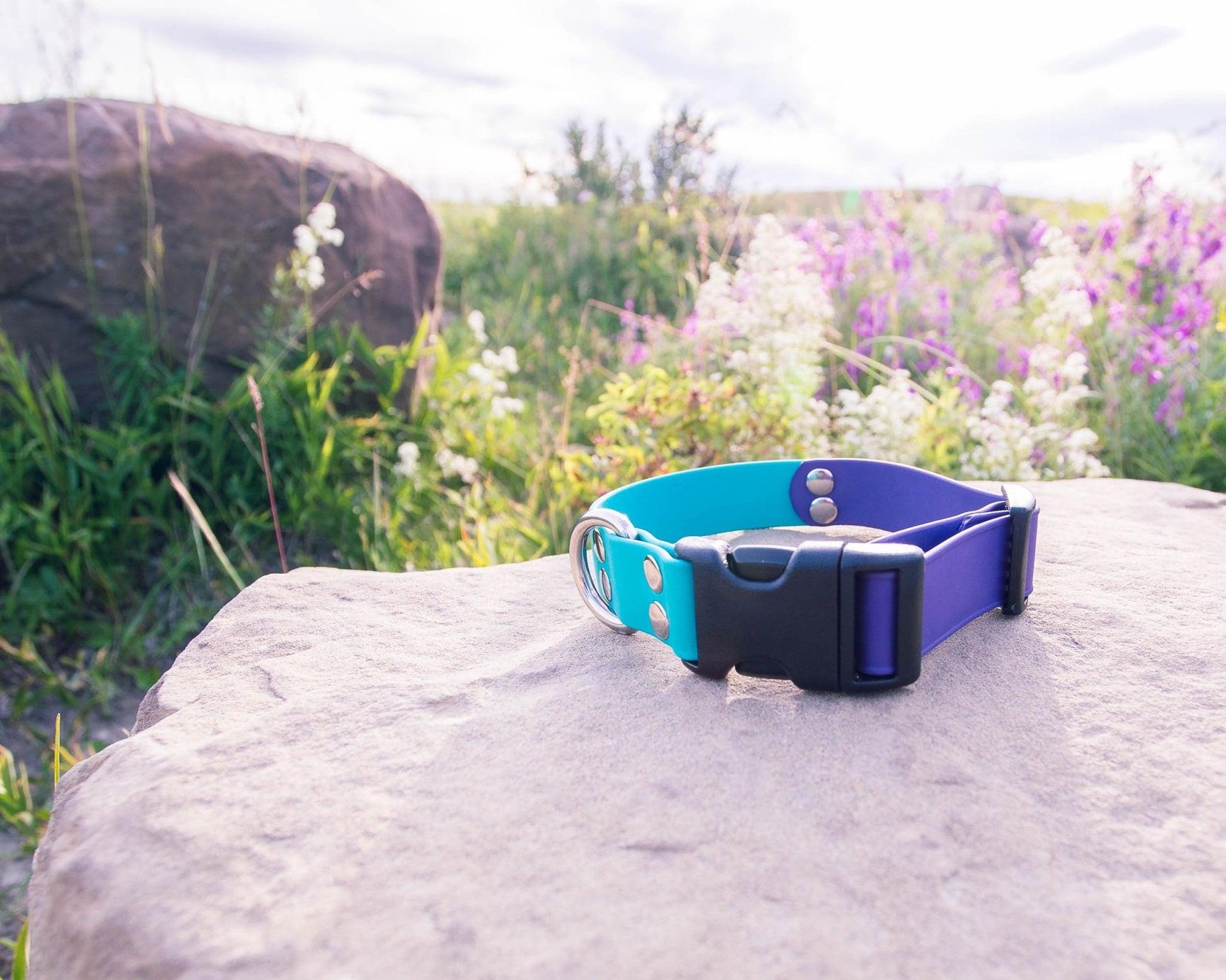 Two-Tone Explore Collar - NorthRangeDogs