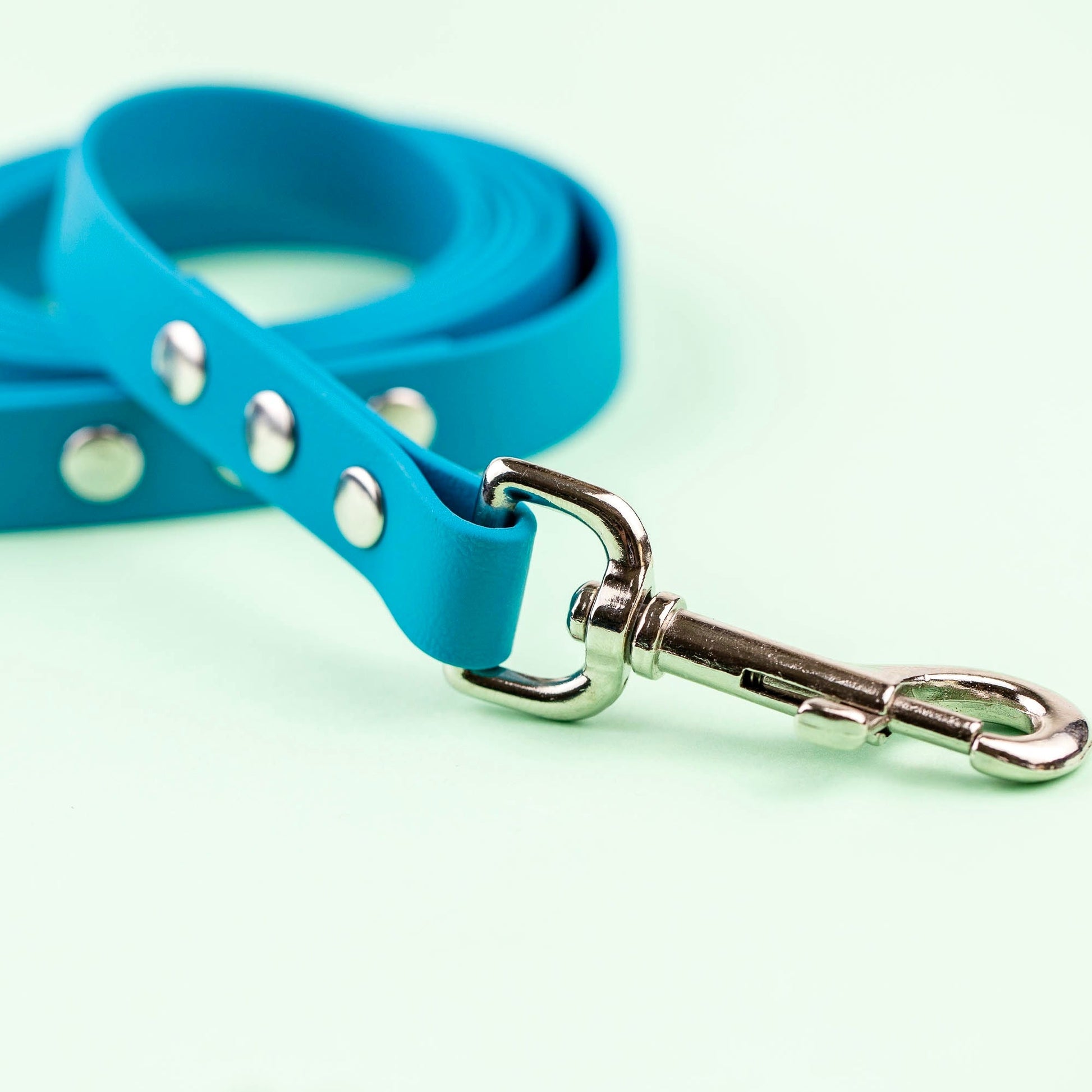 Explore Leash - North Range Dogs