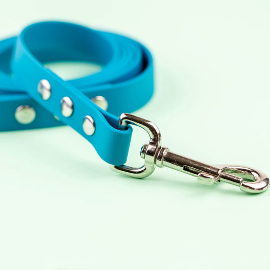 Explore Leash - North Range Dogs