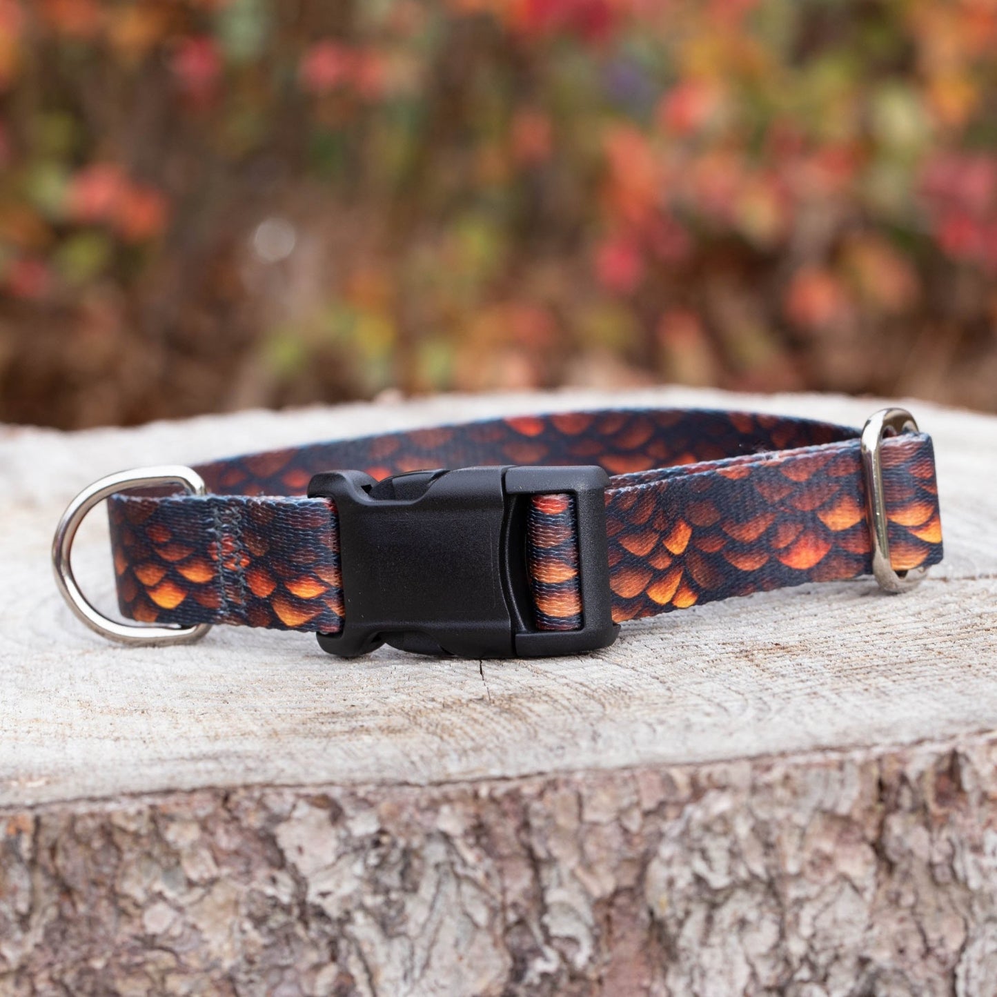 Brown Dragon Dog Collar - North Range Dogs