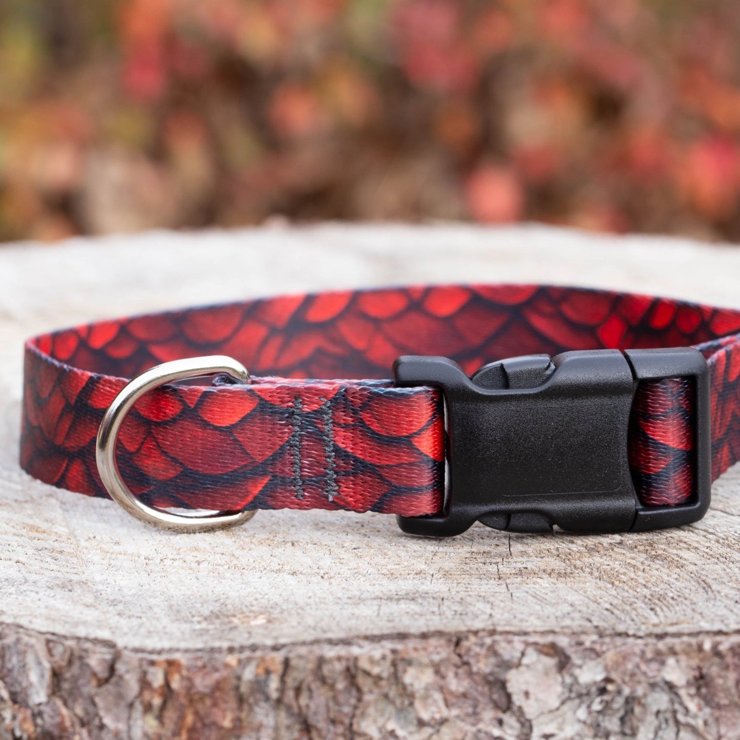 Red Dragon Dog Collar - North Range Dogs