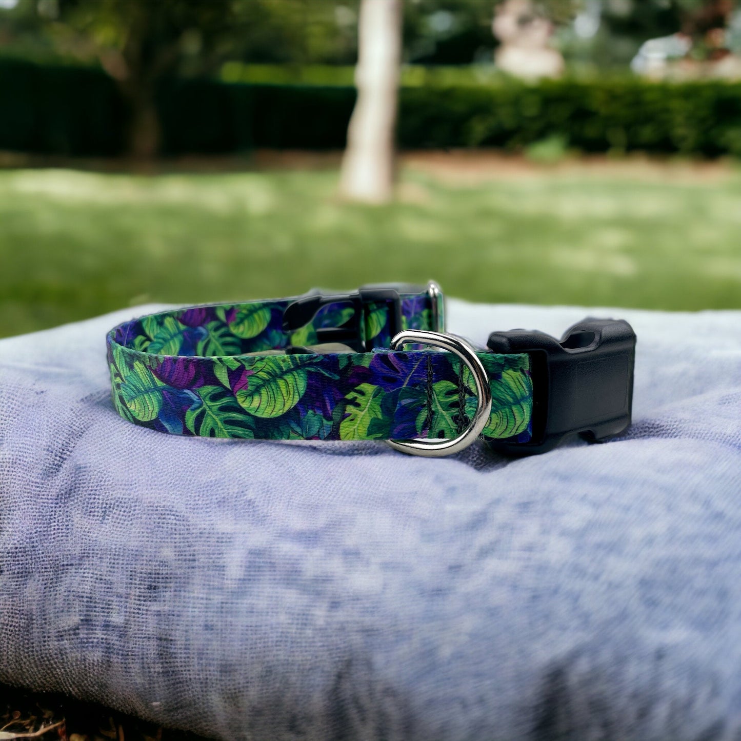 Monstera: Floral Collection - North Range Dogs