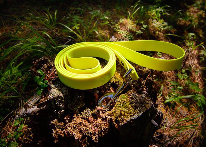 Explore Leash - For BIG explorers - NorthRangeDogs