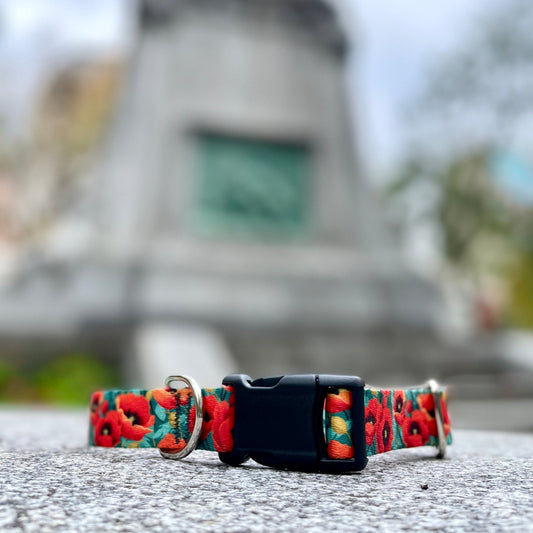 Poppies Dog Collar: Dog Good - North Range Dogs