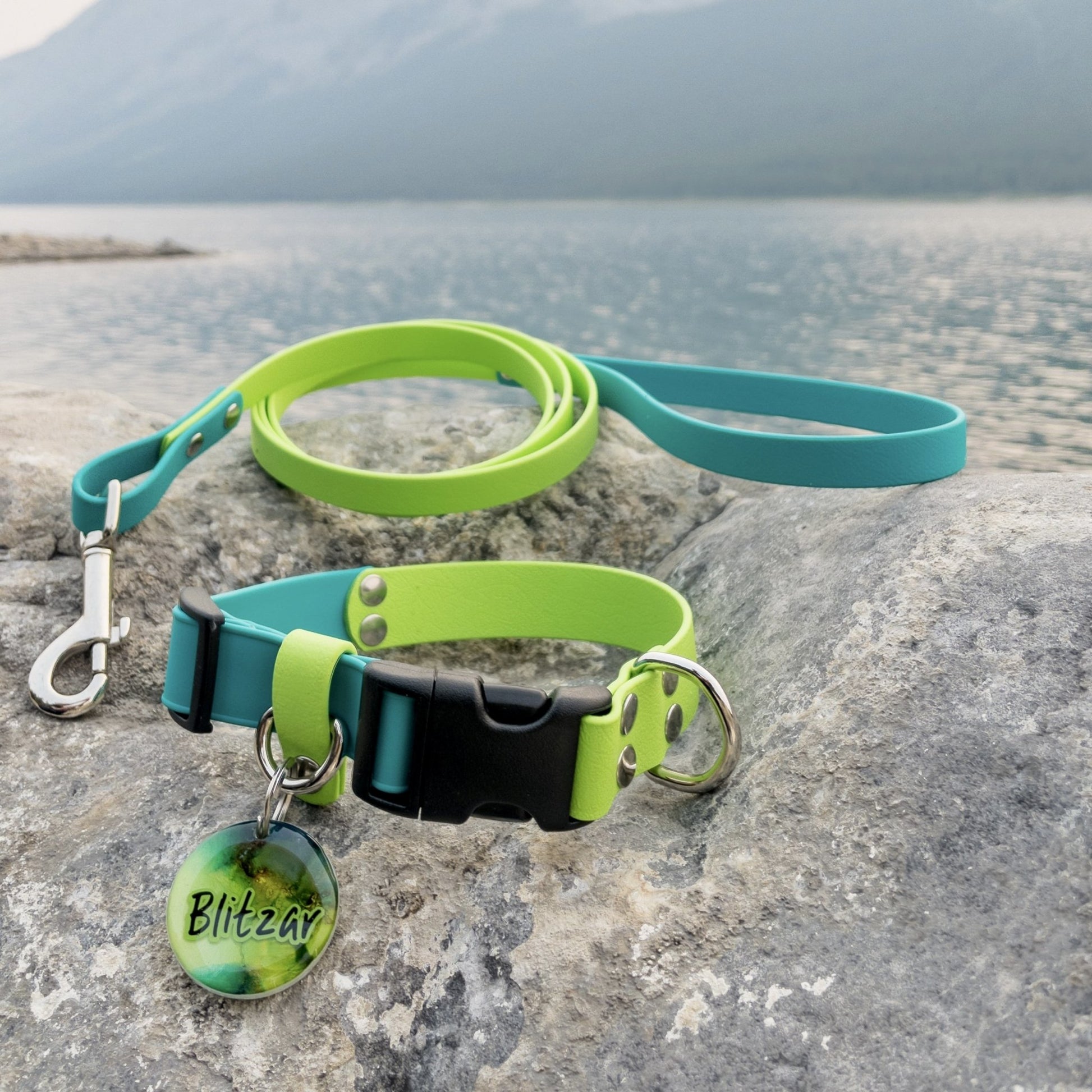 Two-Tone Explore Collar - NorthRangeDogs