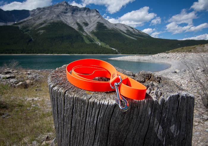 Explore Leash - For BIG explorers - NorthRangeDogs