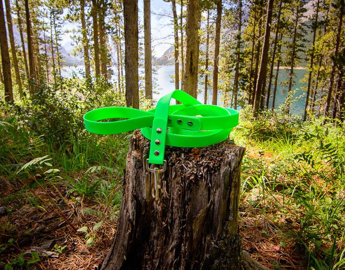 Explore Leash - For BIG explorers - NorthRangeDogs