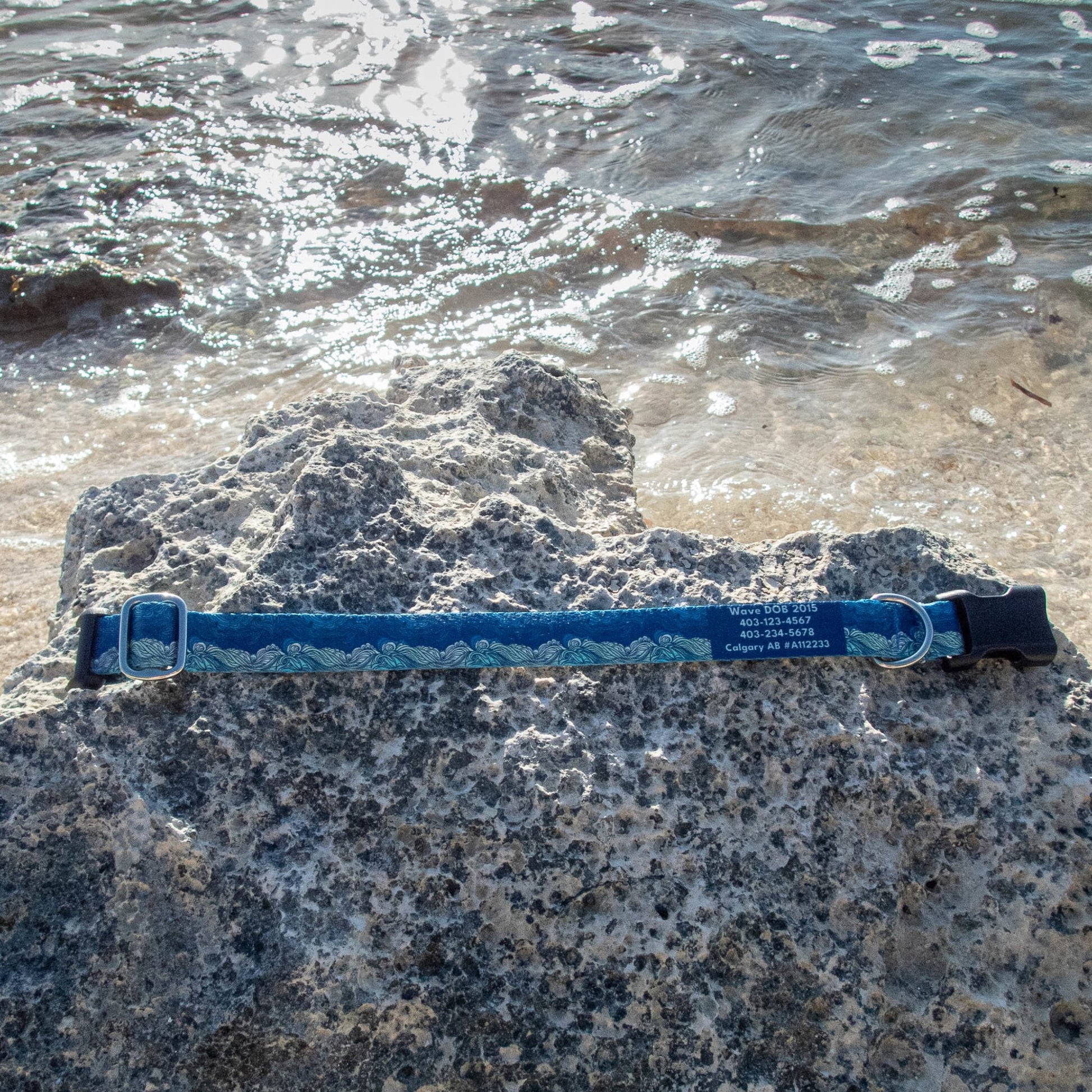 Wave: Ocean Collection - NorthRangeDogs