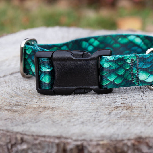 Green Dragon Dog Collar - North Range Dogs