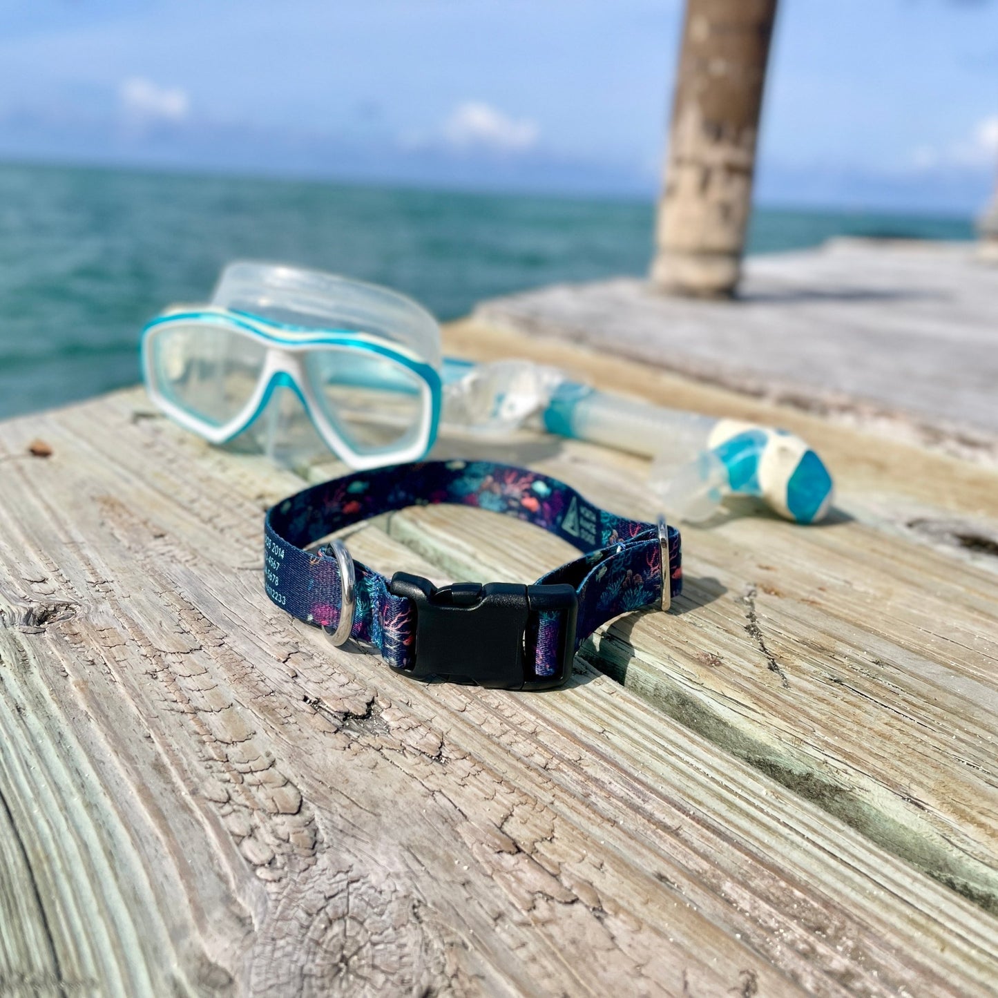 Night Dive: Ocean Collection - NorthRangeDogs