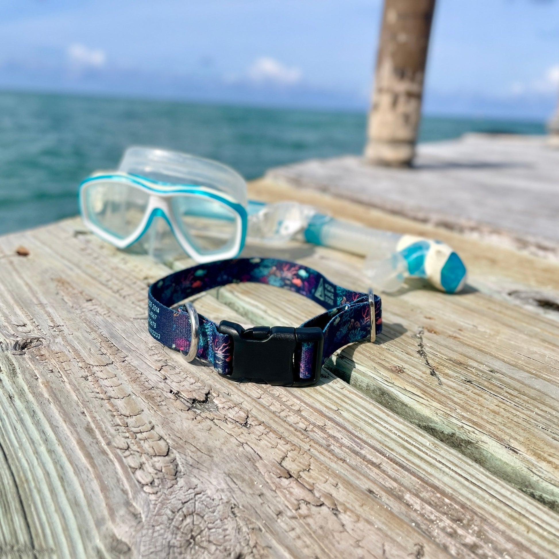 Night Dive: Ocean Collection - NorthRangeDogs