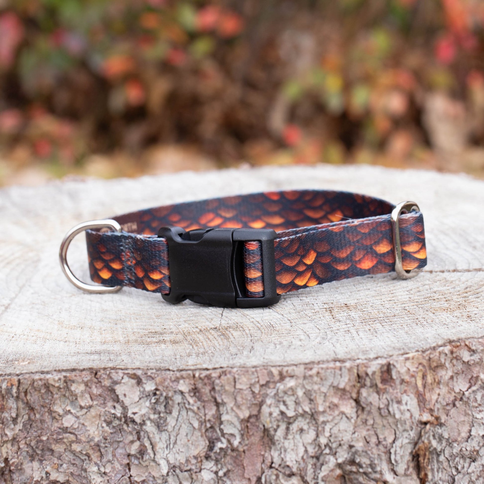Brown Dragon Dog Collar - North Range Dogs