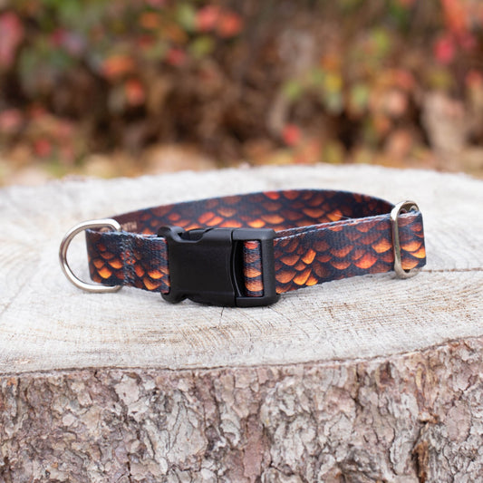 Brown Dragon Dog Collar - North Range Dogs