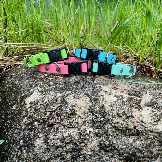 Explore Collar (3/4" wide) - NorthRangeDogs