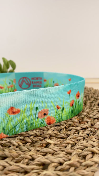 Poppy Fields Dog Collar: Dog Good