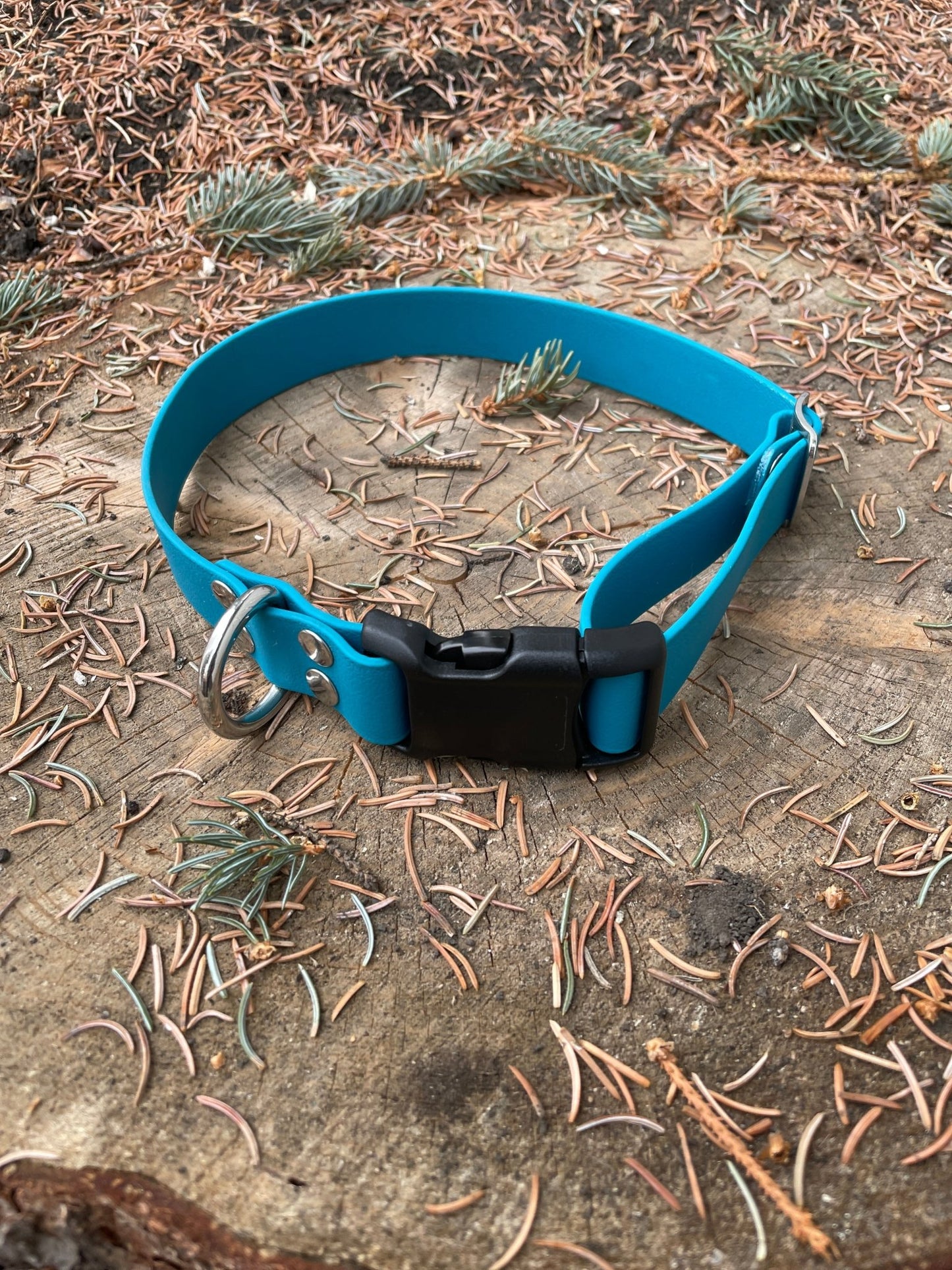 SMALL Explore Collar (1" wide) RTS (Neck Size 13 - 16.5) - North Range Dogs
