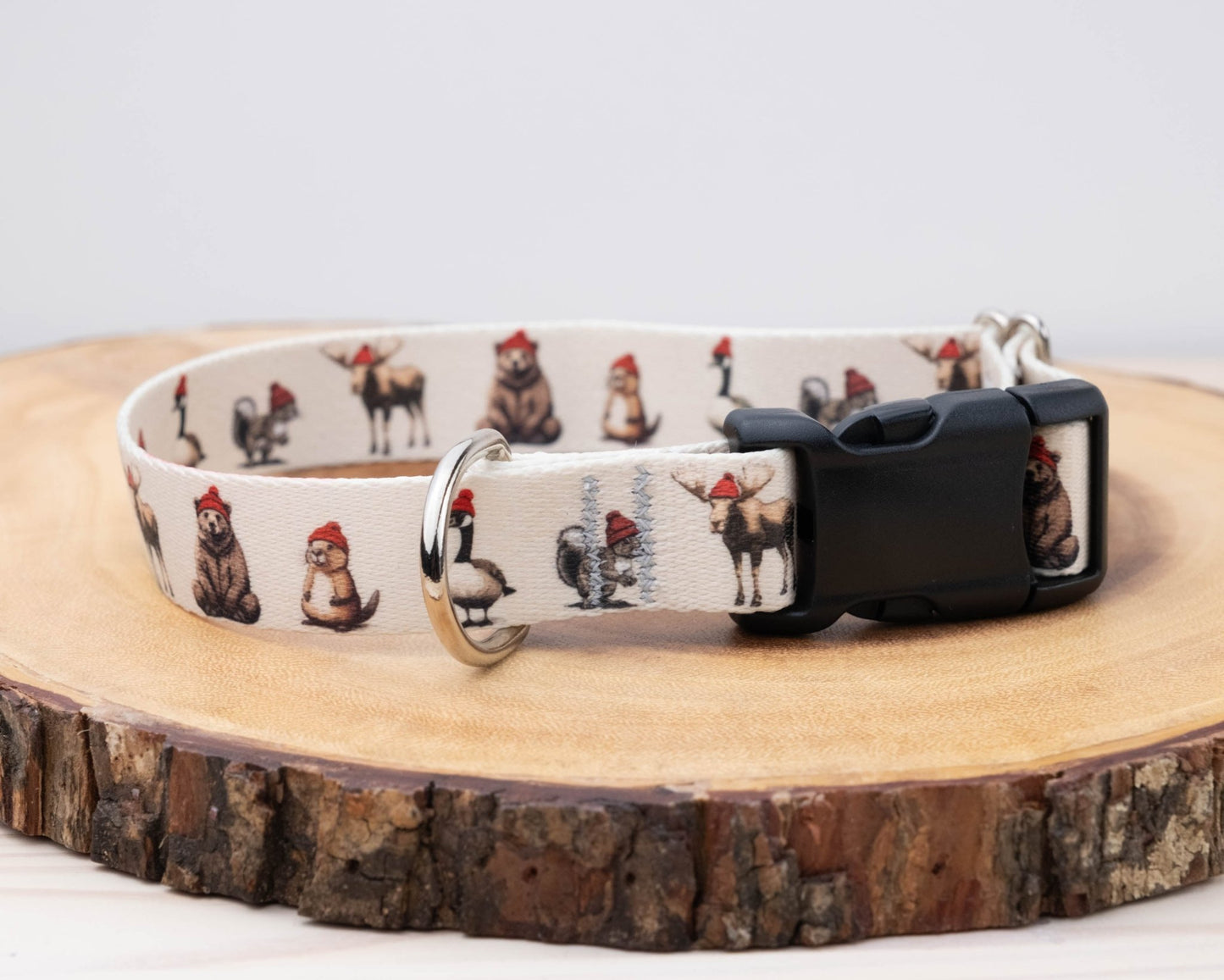 Ya Hoser Dog Collar - North Range Dogs