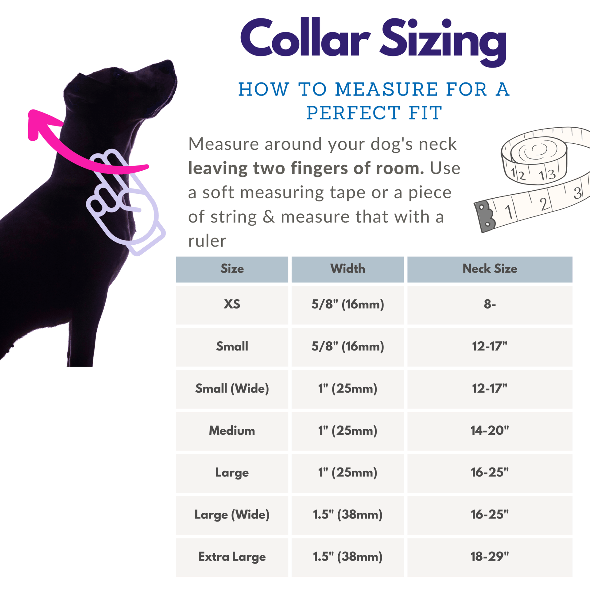 Abstract Poppies Dog Collar: Dog Good - North Range Dogs