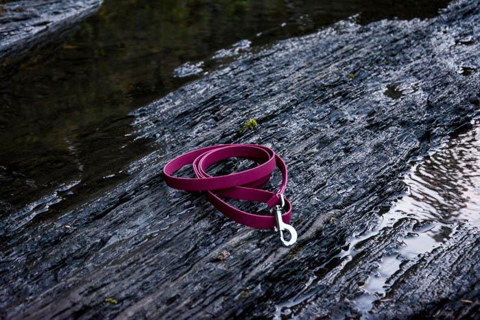 Explore Leash (3/4" wide) Various Lengths and Colours RTS - North Range Dogs