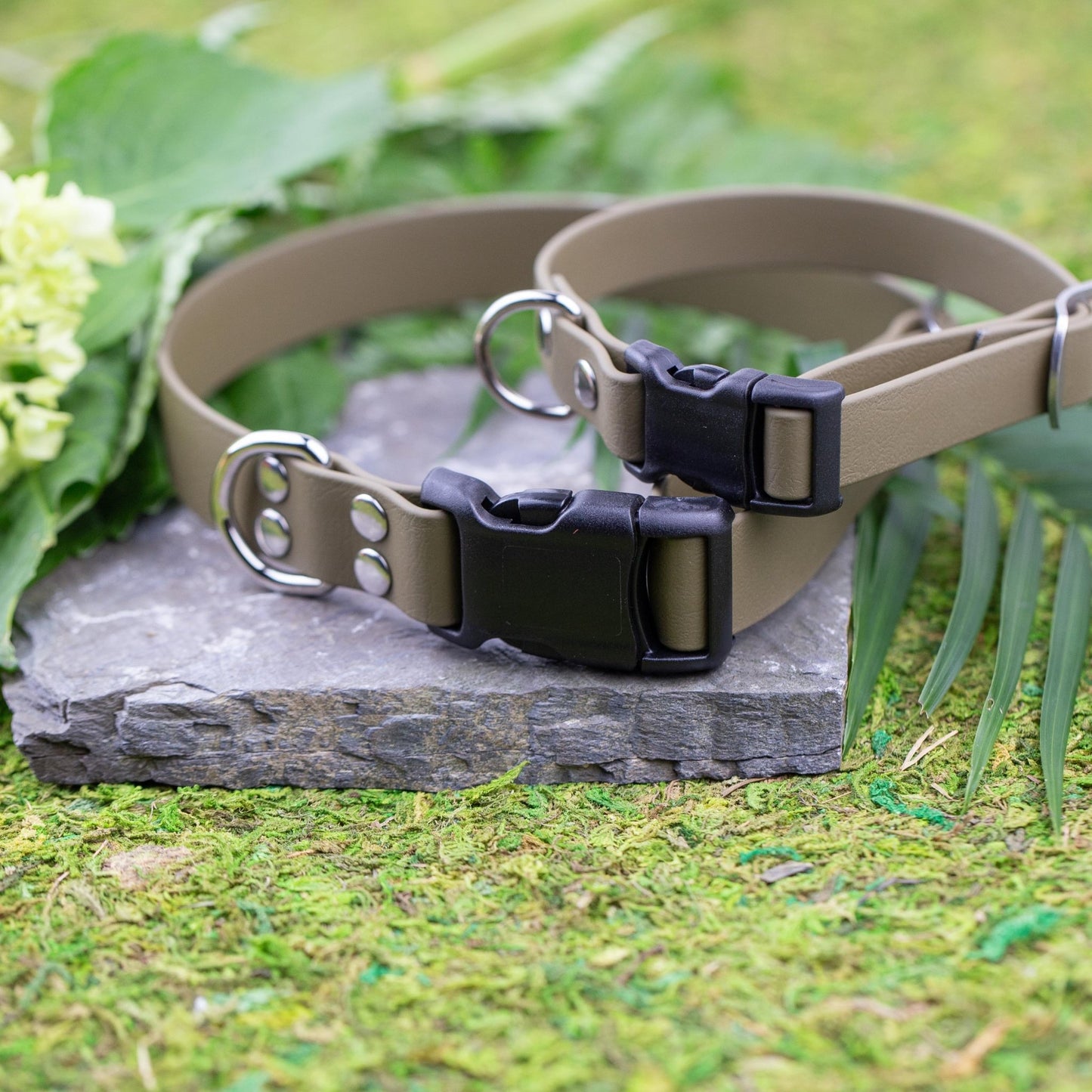 SMALL Explore Collar (1" wide) RTS (Neck Size 13 - 16.5) - North Range Dogs
