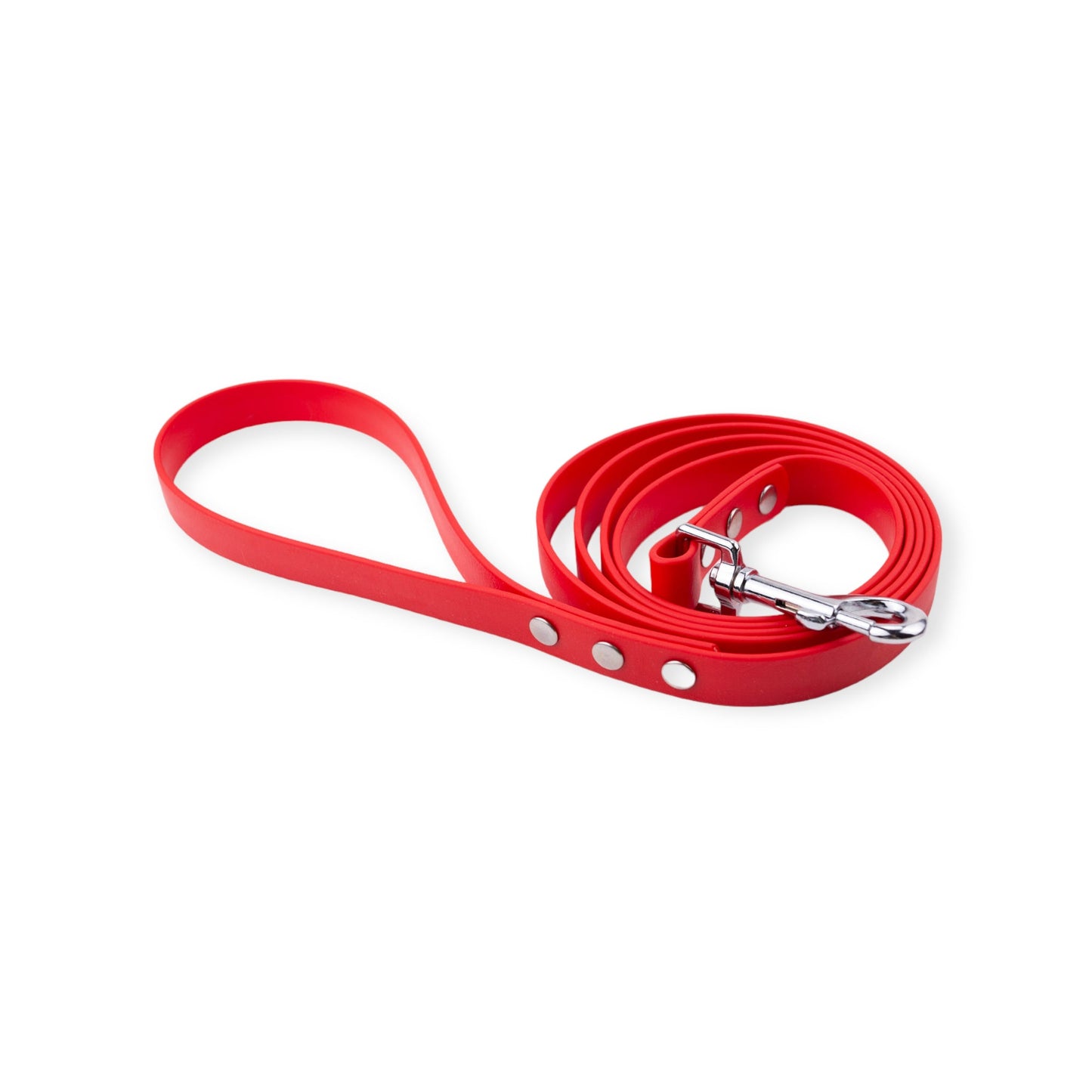 Explore Leash (3/4" wide) Various Lengths and Colours RTS - North Range Dogs