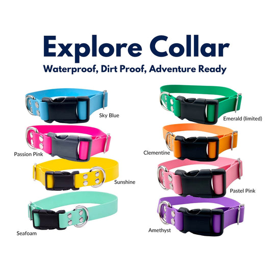 Dark Brown Explore Collar (Med) Ready to ship - North Range Dogs