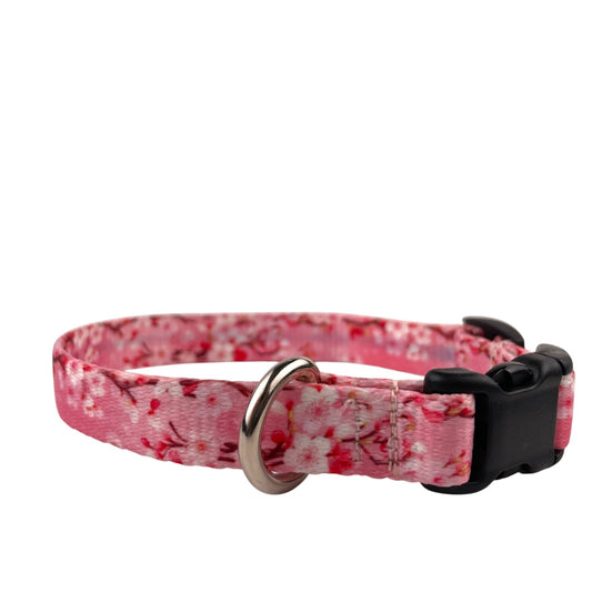 Cherry Blossoms Dog Collar (x - small) Ready to ship - North Range Dogs