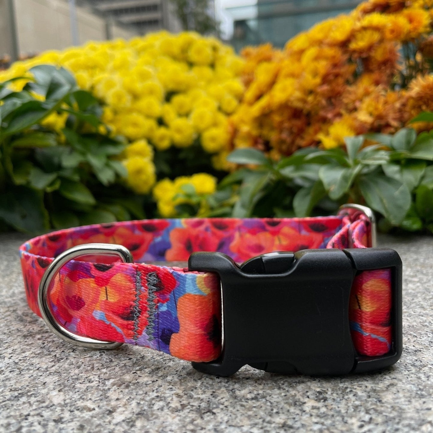 Abstract Poppy (Med) Ready to ship - North Range Dogs