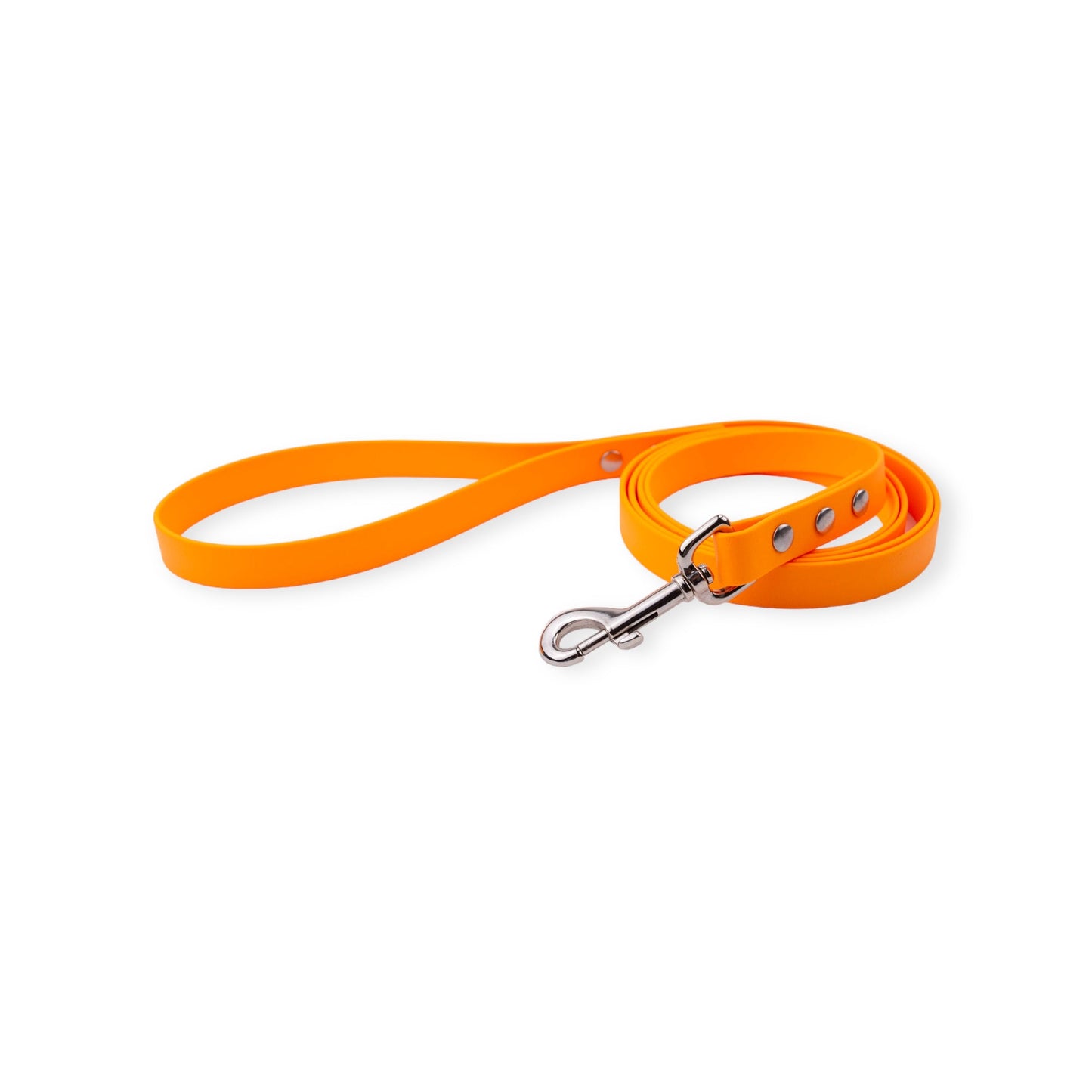 Explore Leash (3/4" wide) Various Lengths and Colours RTS - North Range Dogs