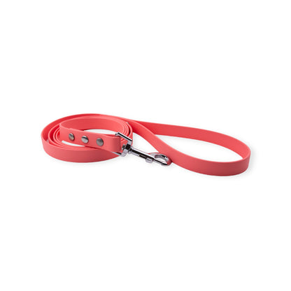 Explore Leash (3/4" wide) Various Lengths and Colours RTS - North Range Dogs