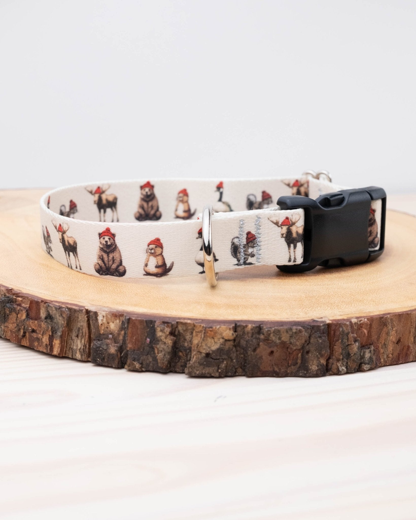 Ya Hoser Dog Collar - North Range Dogs