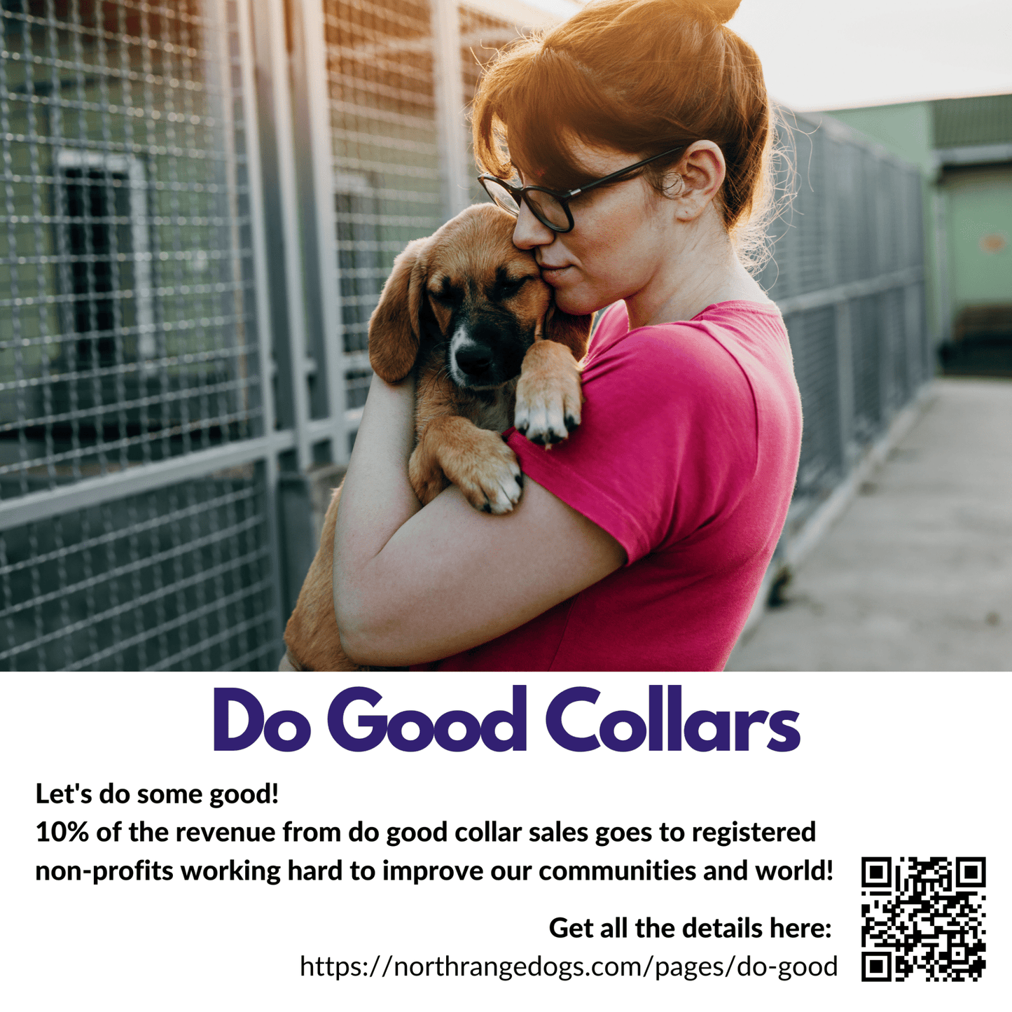 Abstract Poppies Dog Collar: Dog Good - North Range Dogs