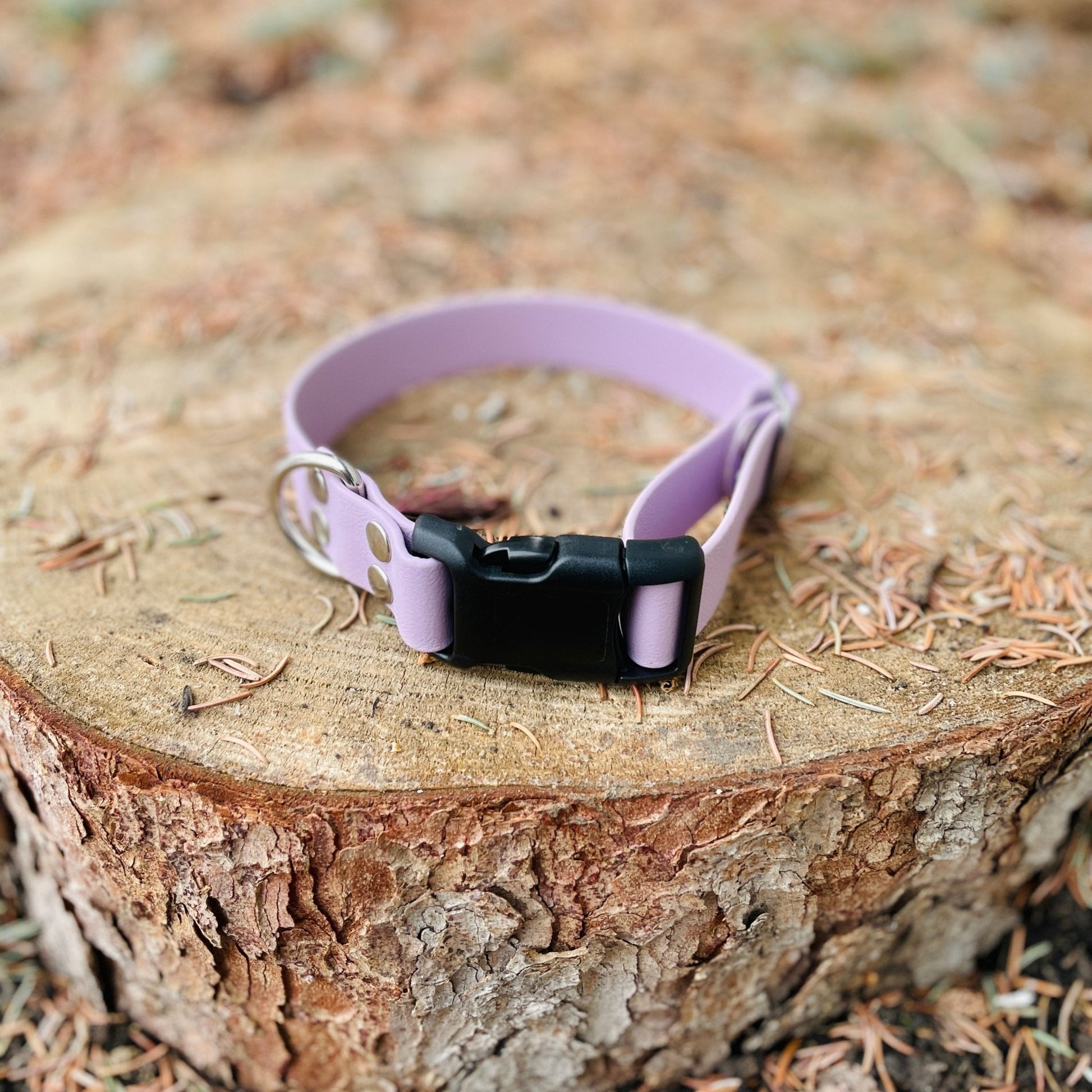 SMALL Explore Collar (1" wide) RTS (Neck Size 13 - 16.5) - North Range Dogs
