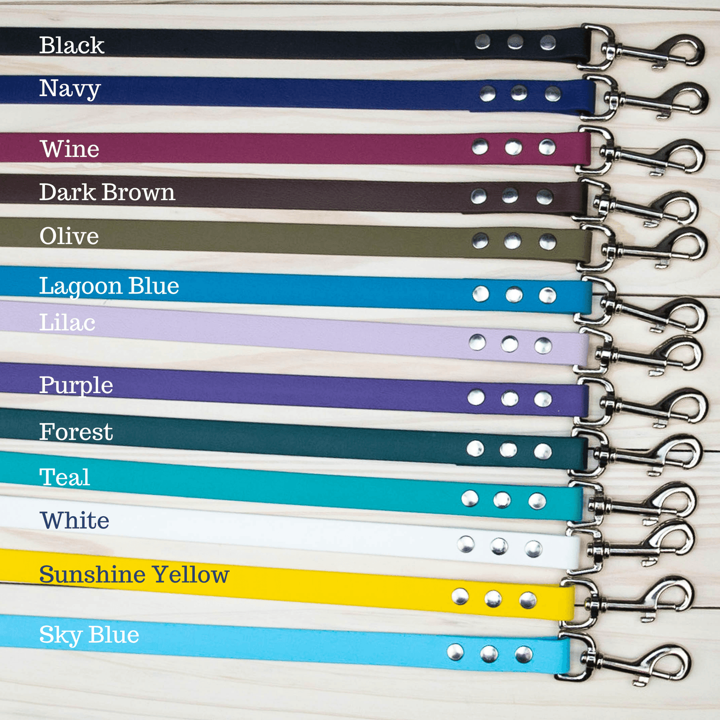 Medium Explore Collar RTS (Neck Size 15 - 19.5) - North Range Dogs
