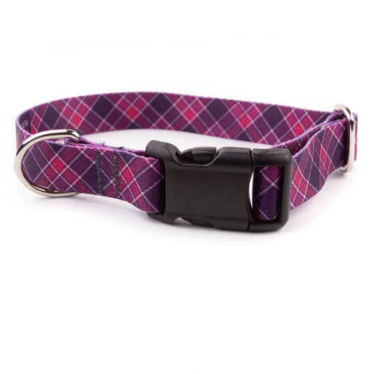 Purple Plaid Dog Collar - North Range Dogs