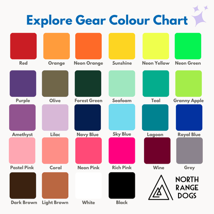 Medium Explore Collar RTS (Neck Size 15 - 19.5) - North Range Dogs