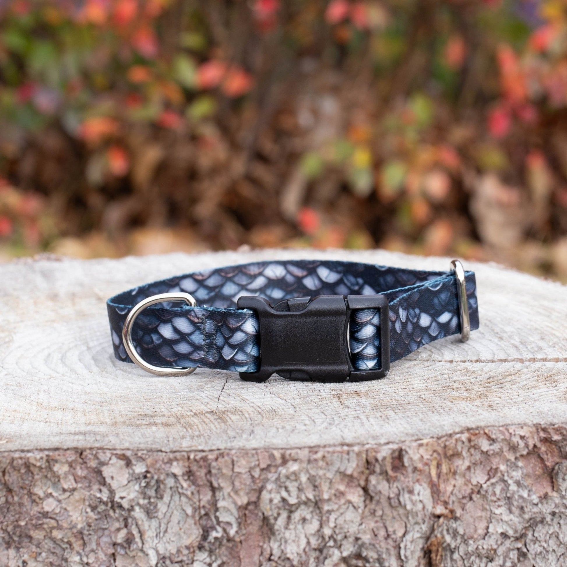 Black Dragon Dog Collar (LARGE) Ready to ship - North Range Dogs