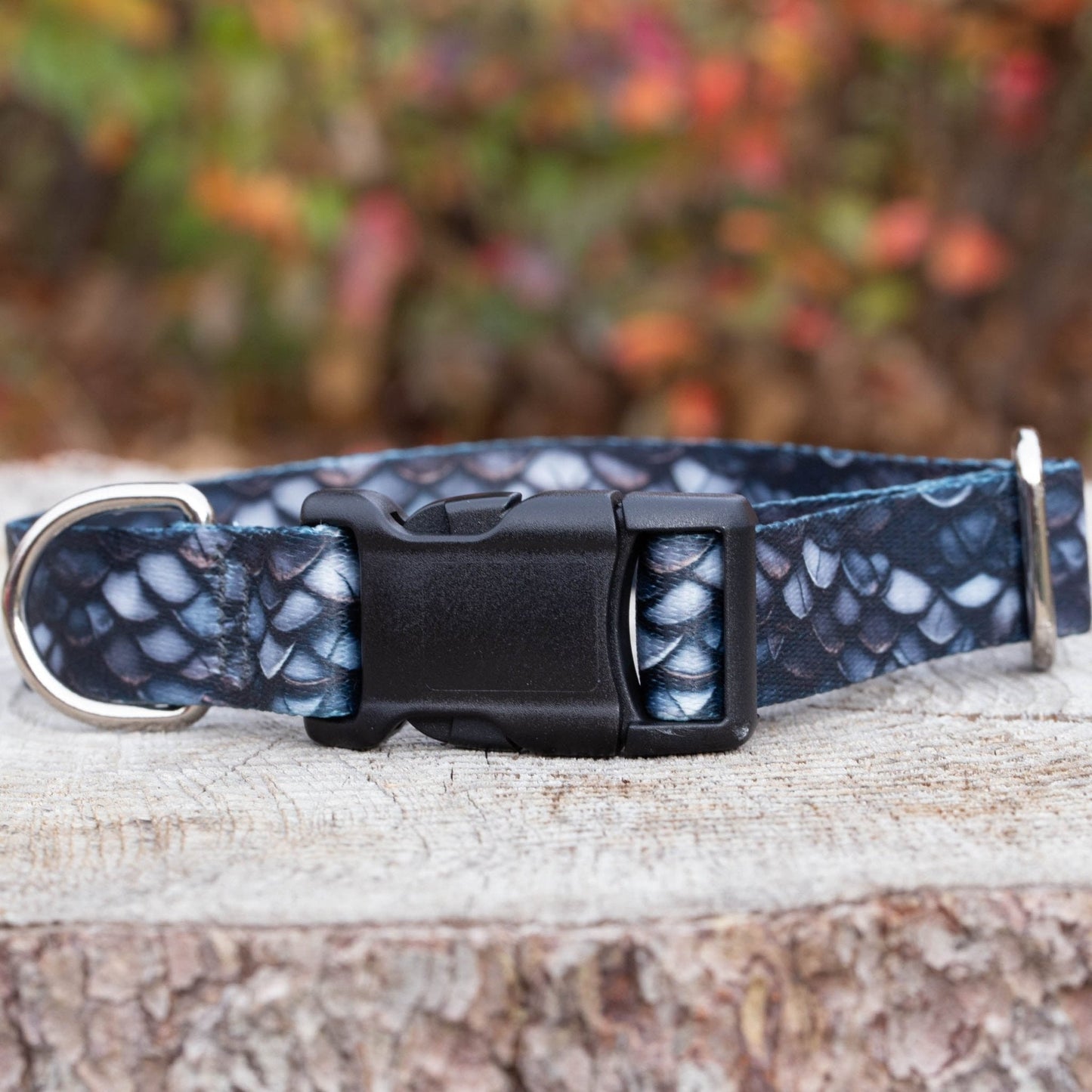 Black Dragon Dog Collar (LARGE) Ready to ship - North Range Dogs